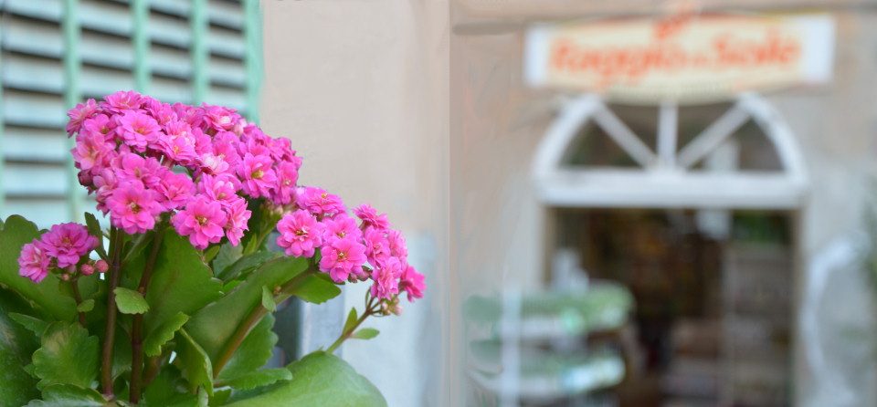 Agrizoo Due, Via V.Veneto 22, Mignanego (Ge) Tel: 010 7720136